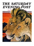 "Lion Pair " Saturday Evening Post Cover  April 27  1929
