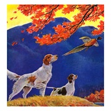 "Pointing to the Pheasant "November 1  1937