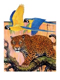 "Leopard and Parrots in Jungle "September 2  1933
