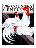 "Roosting Rooster and Hens " Country Gentleman Cover  December 8  1923