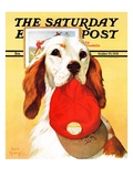 "Hunting Dog and Cap " Saturday Evening Post Cover  October 29  1938