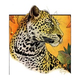 "Leopard "August 29  1931