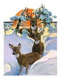 "Deer in Snow "February 7  1931