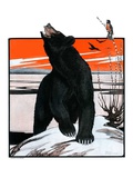 "Bear and Robin Welcome Spring "March 14  1925