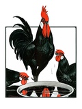 "Fowl Reflections "October 27  1923