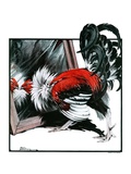 "Fancy Rooster in Mirror "April 21  1923