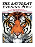 "Tiger Head " Saturday Evening Post Cover  September 18  1926
