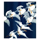 "Flying South "November 20  1937