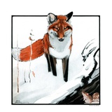 "Mice Hiding from Fox "February 3  1923