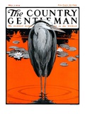 "Crane and Lilly Pads " Country Gentleman Cover  May 3  1924