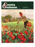 "Picking Tomatoes " Country Gentleman Cover  September 1  1945