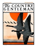 "Flock of Geese in Formation " Country Gentleman Cover  November 15  1924