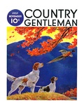 "Pointing to the Pheasant " Country Gentleman Cover  November 1  1937
