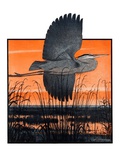 "Marsh Bird "October 3  1925