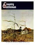 "Autumn Cornfield " Country Gentleman Cover  October 1  1950