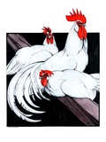 "Roosting Rooster and Hens "December 8  1923