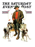 "Springer Spaniels " Saturday Evening Post Cover  November 1  1930