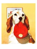"Hunting Dog and Cap "October 29  1938