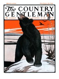 "Bear and Robin Welcome Spring " Country Gentleman Cover  March 14  1925
