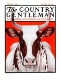 "Texas Longhorn " Country Gentleman Cover  February 9  1924