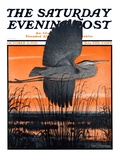 "Marsh Bird " Saturday Evening Post Cover  October 3  1925