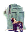 "Dog Waiting for Schoolboy "September 10  1938