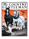 "Plowing the Field " Country Gentleman Cover  July 26  1924