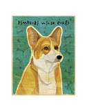 Pembroke Welsh Corgi