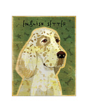 English Setter