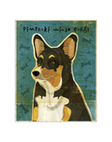 Pembroke Welsh Corgi (Tri-Color)