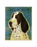 Llewellin Setter
