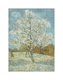 The Pink Peach Tree  1888