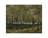 Poplars near Nuenen  1885