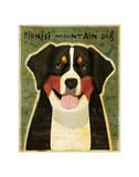 Bernese Mountain Dog