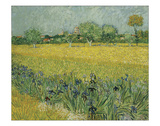 Field with Flowers Near Arles  1888