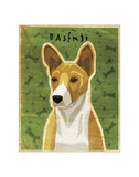 Basenji (Red)
