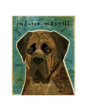 English Mastiff (Brindle)