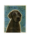 Black Labradoodle