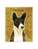 Basenji (Black)