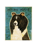 Shetland Sheepdog (Black & White)