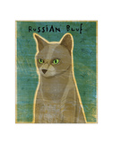 Russian Blue