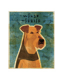 Welsh Terrier