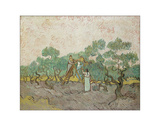 Women Picking Olives  1889