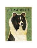 Shetland Sheepdog (Tri-Color)