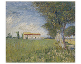 Farmhouse in a Wheat Field  1888