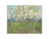 The Pink Orchard  1888