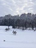 Having a Walk Through a Winter Landscape