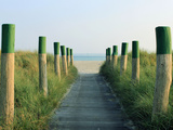 Way to the Beach