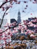 Springtime at Lake Alster and St Michaelis Church in Hamburg