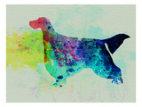 Gordon Setter Watercolor